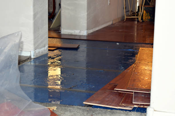 Professional Basement Flood Cleanup technician working in Holyoke, MA